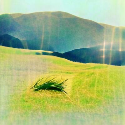 Rolling Green Hills Landscape