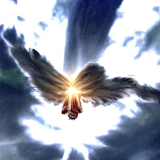 Seraphim in Divine Light
