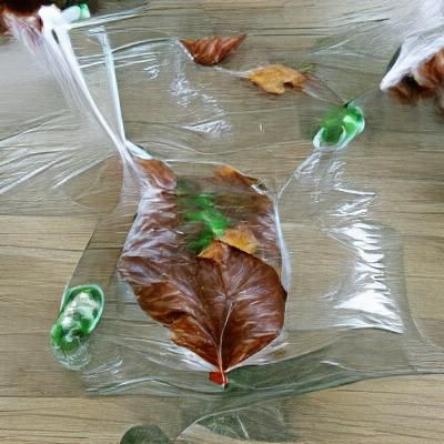 Leaves Collected in Plastic Bag