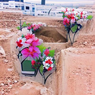 Colorful Flower Field
