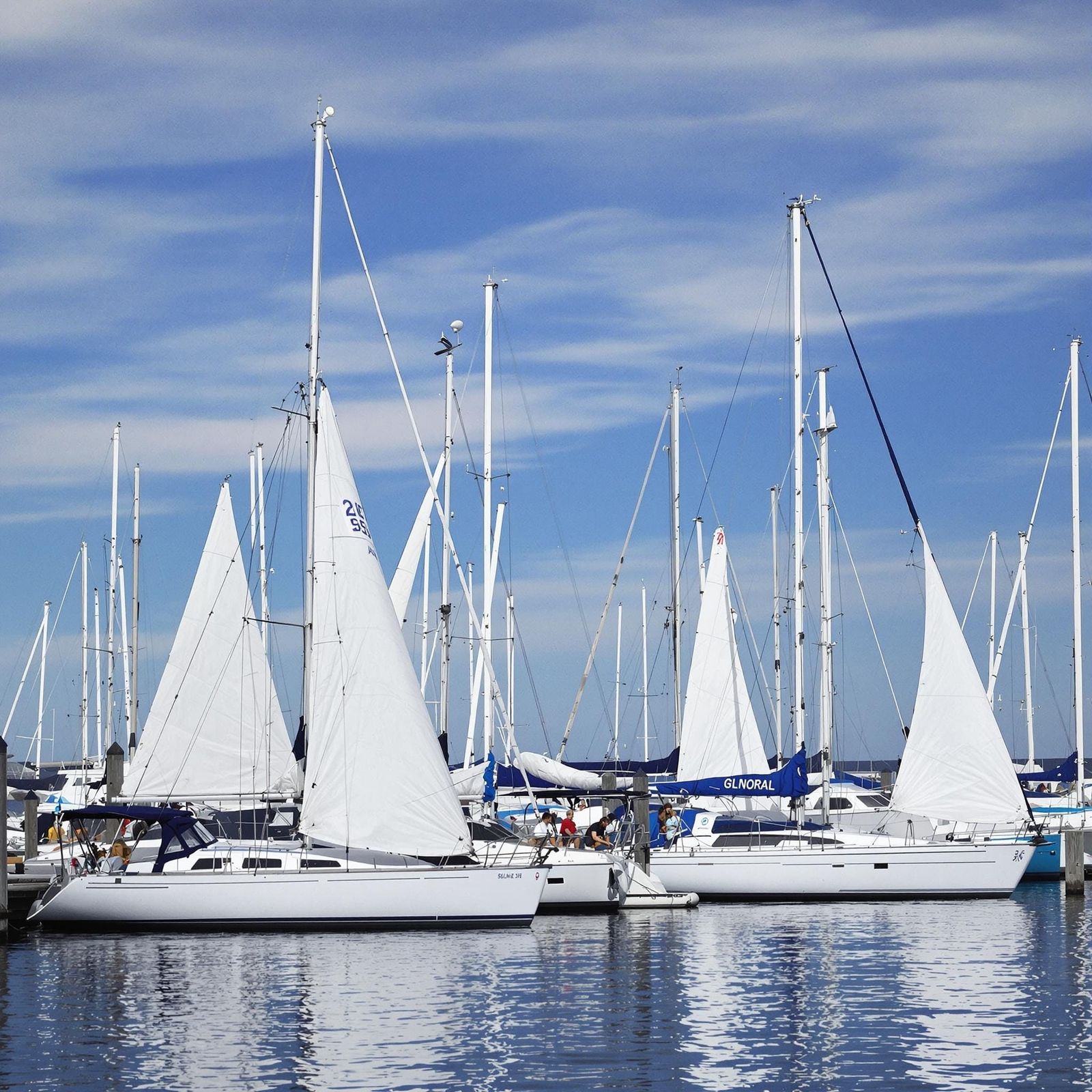 Sailboats in a Serene Harbor Scene