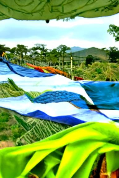 Guatemalan Textiles Dancing in the Wind