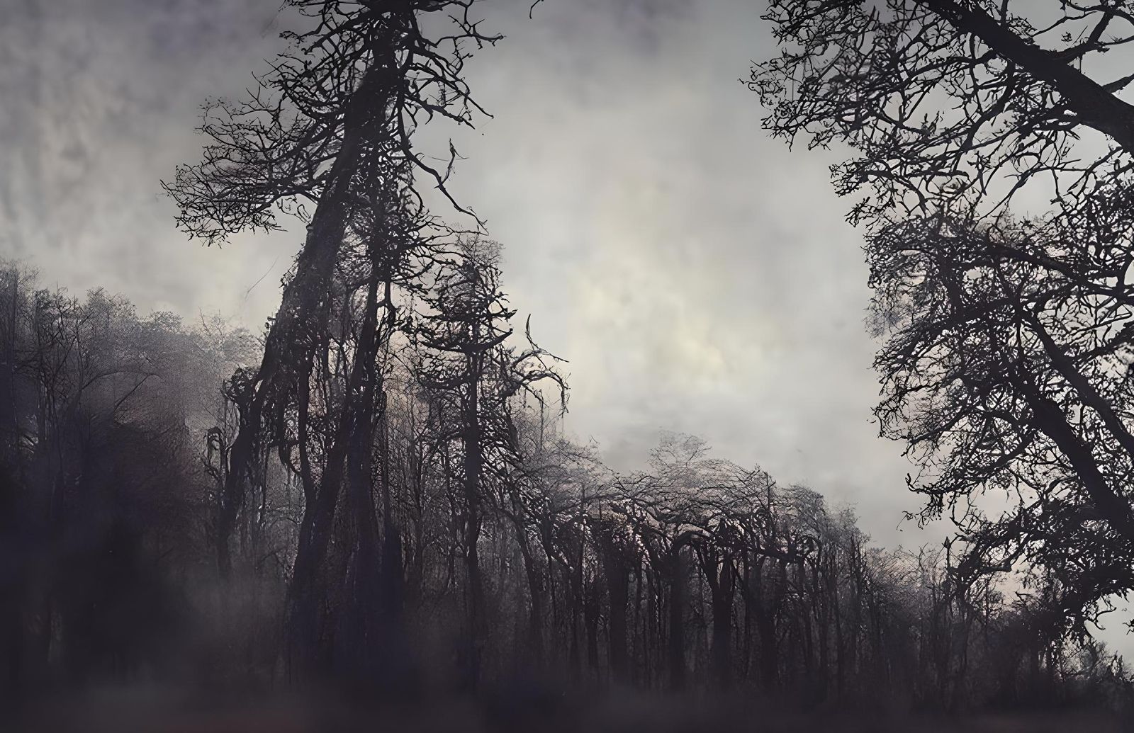 Eerie Dark Forest in Fog, Surrealist Style
