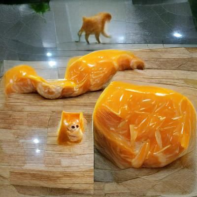 Orange Tabby Cat Portrait