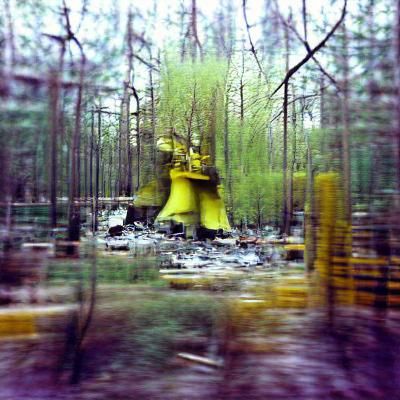 Chernobyl Explosion's Impact on a Forest