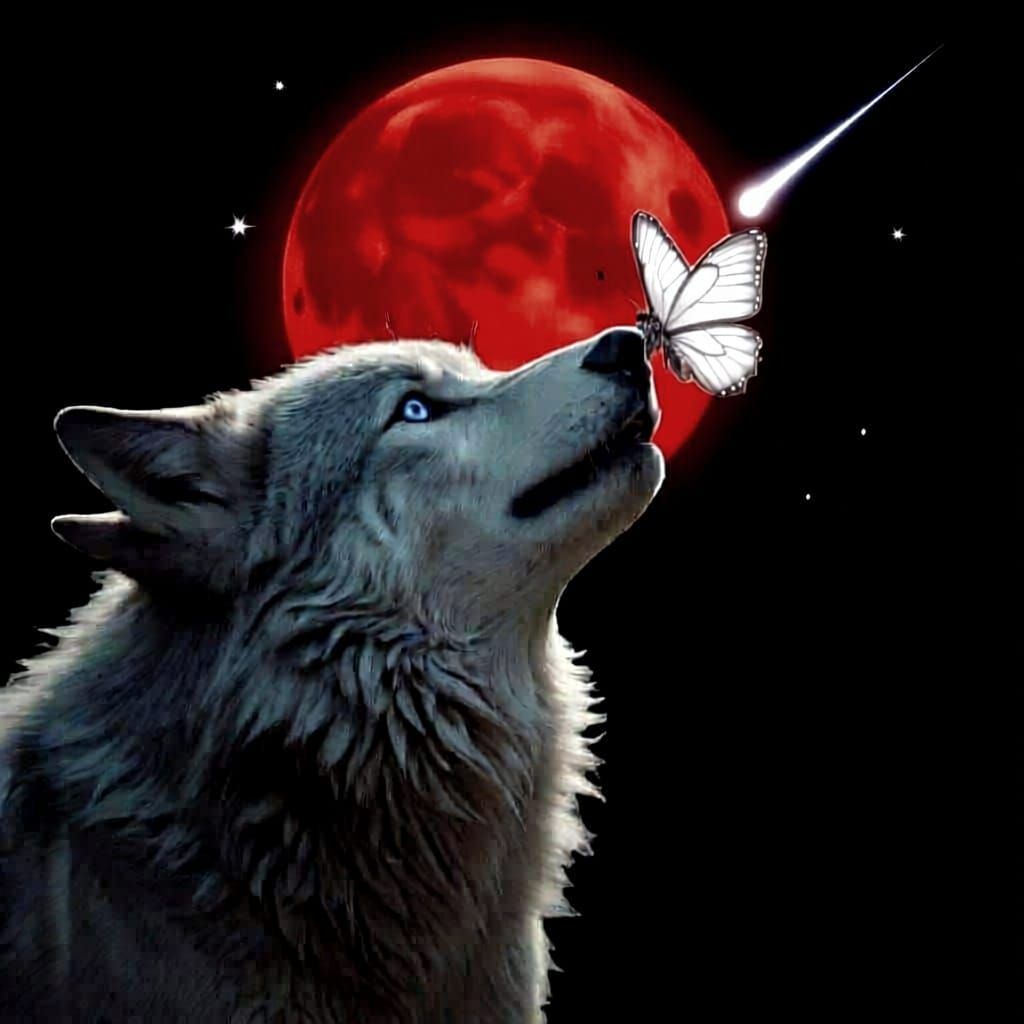 Wolf Howling at Heart Moon in Forest