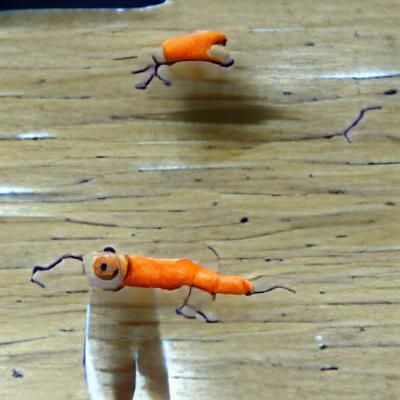 Anthropomorphic Carrot Character with Arms and Legs