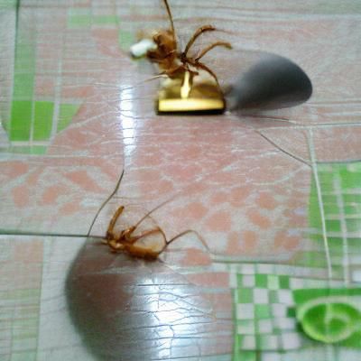 AI Image from a Blank Prompt