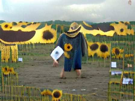 Person in Sunflowers Field: Summer Meadow