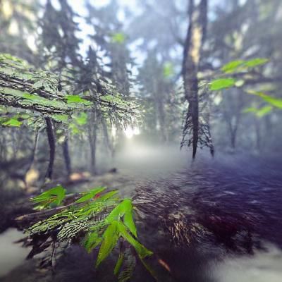 Enigmatic Forest Veiled in Mist