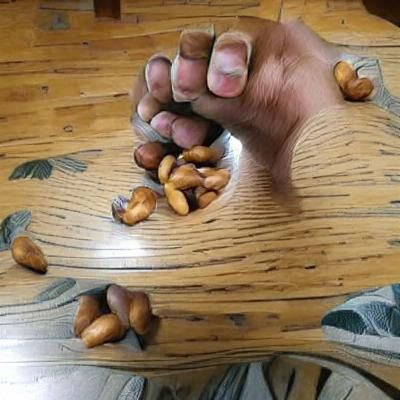 Handful of Nuts Still Life