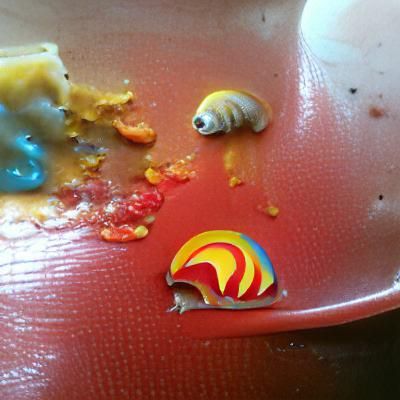 sally ate your family