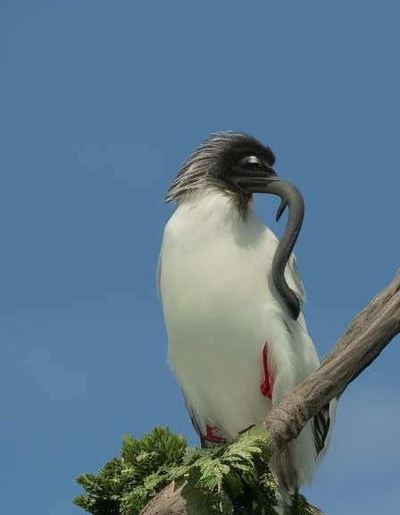 Surreal Scene Inspired by Derek Hess and Igor Morski