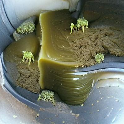 Cannabutter Creation: An AI Generated Image