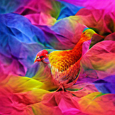 Colorful Bird on a Branch