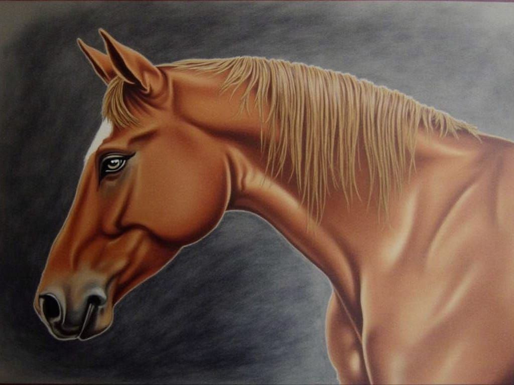 Equine Portrait in Colored Pencil Art