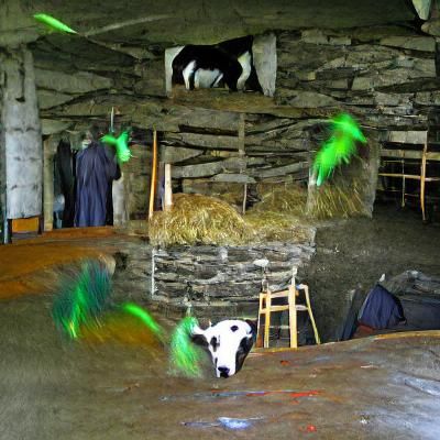 Leprechaun in Barn with Cattle