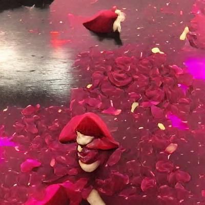 Rose Petal Portrait of Sasha Velour in Pop Art