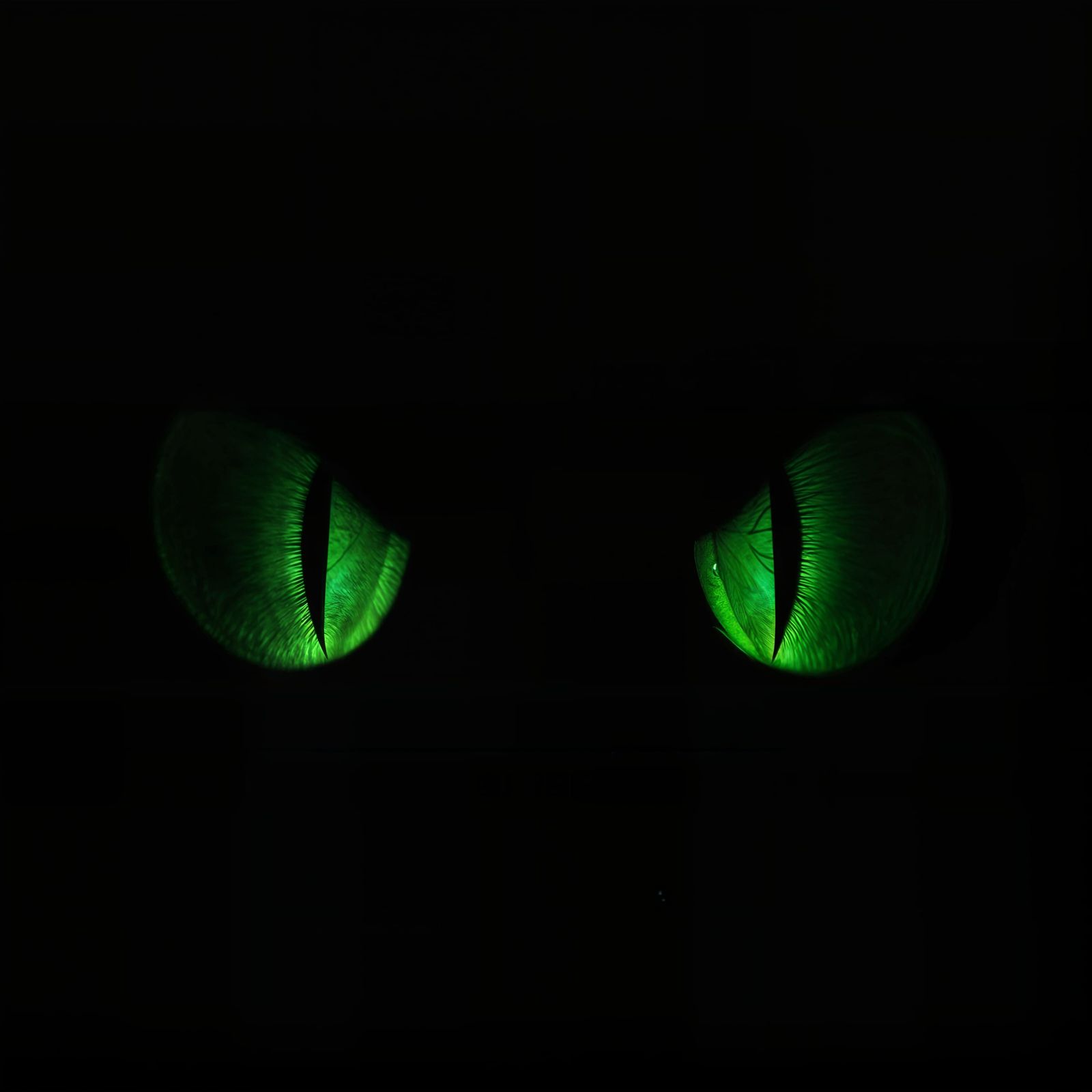 Glowing Green Eyes in Darkened Depths
