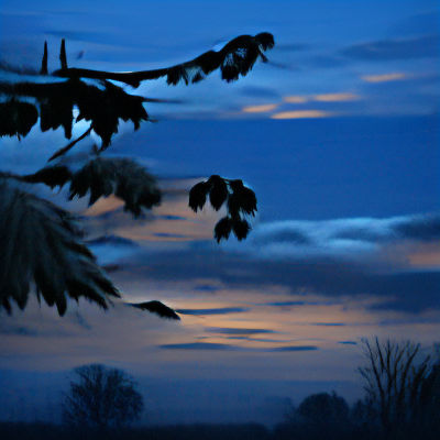 Quiet Dusk Scene at Twilight