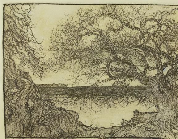 Enchanted Lake Landscape in Illustrative Style