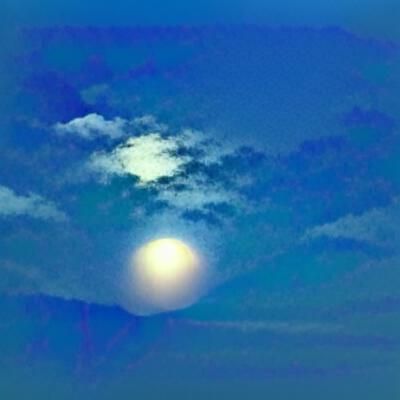 Moonlight on the down