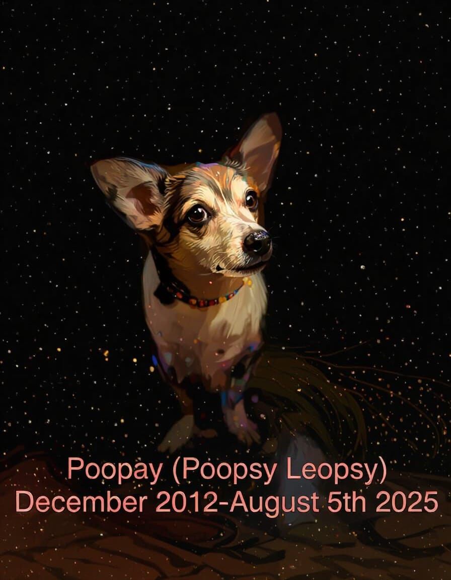 Rainbow Dog Portrait in Illustrative Style