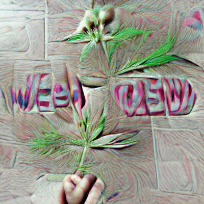 Cannabis Plant: A Close-Up View