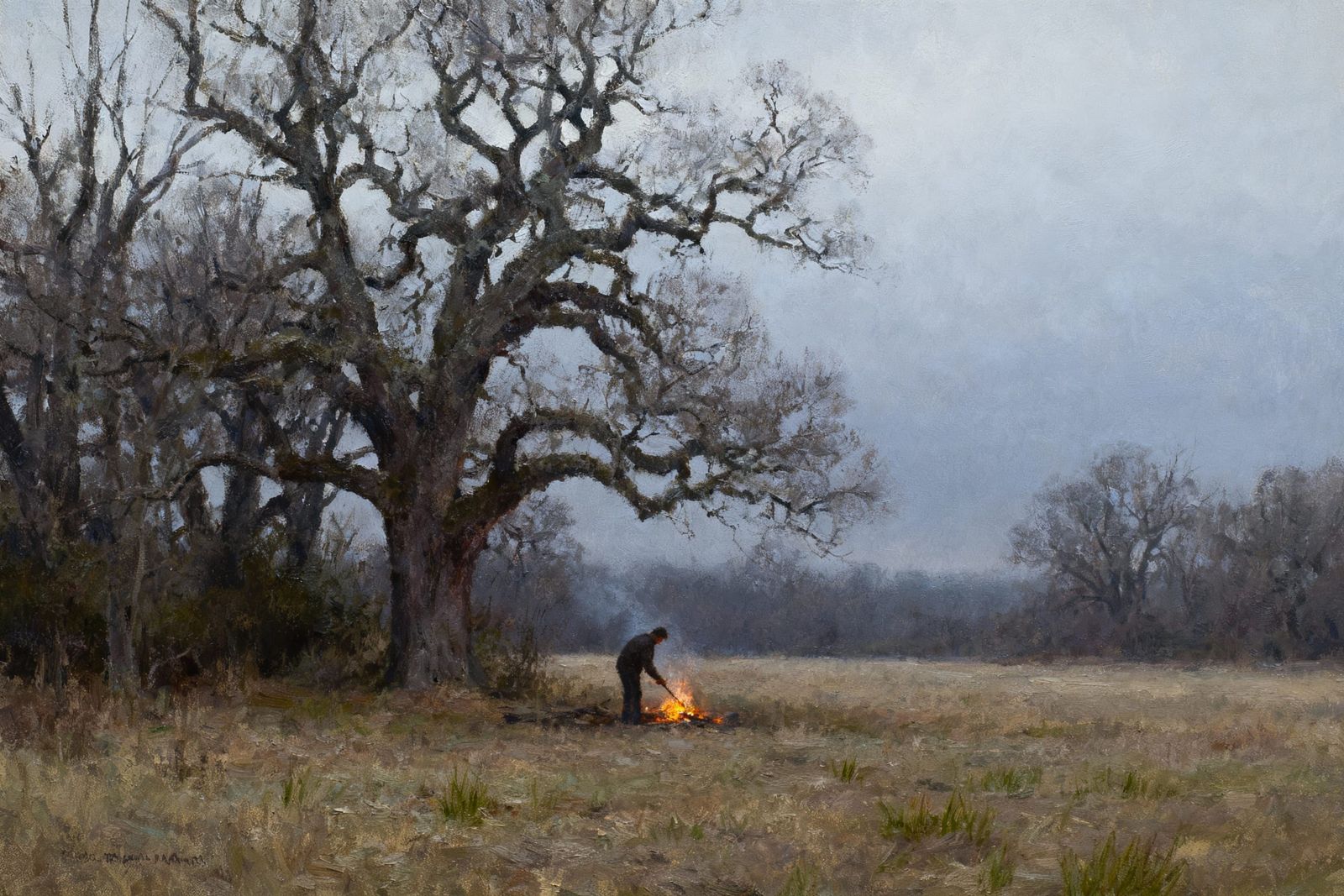 Moody Overcast Spring Morning with Campfire