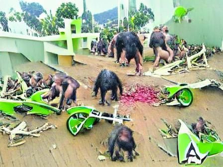Surreal Ape Society Collapse with Wicked Hogs