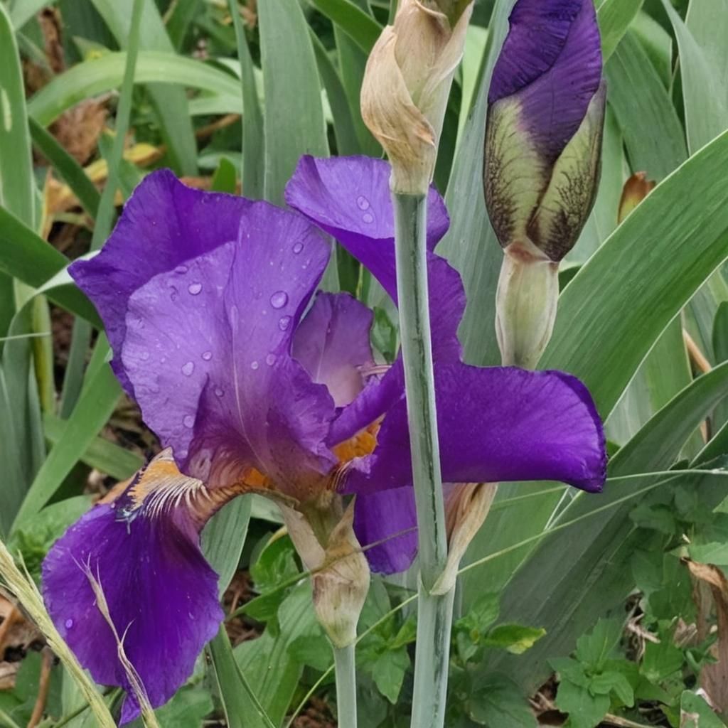 Delightful Garden Surprise: An AI Interpretation