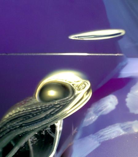 Aliens Marveling at Saturn's Rings