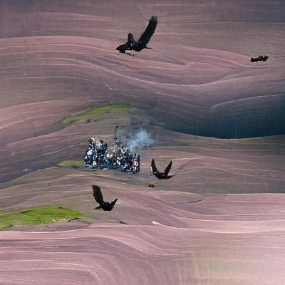 Vultures Circle Fallen Viking Warrior