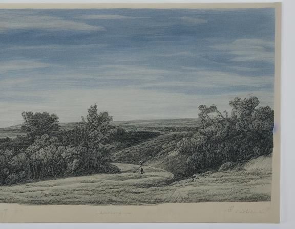 Lithographic Landscape: A Serene Natural Scene