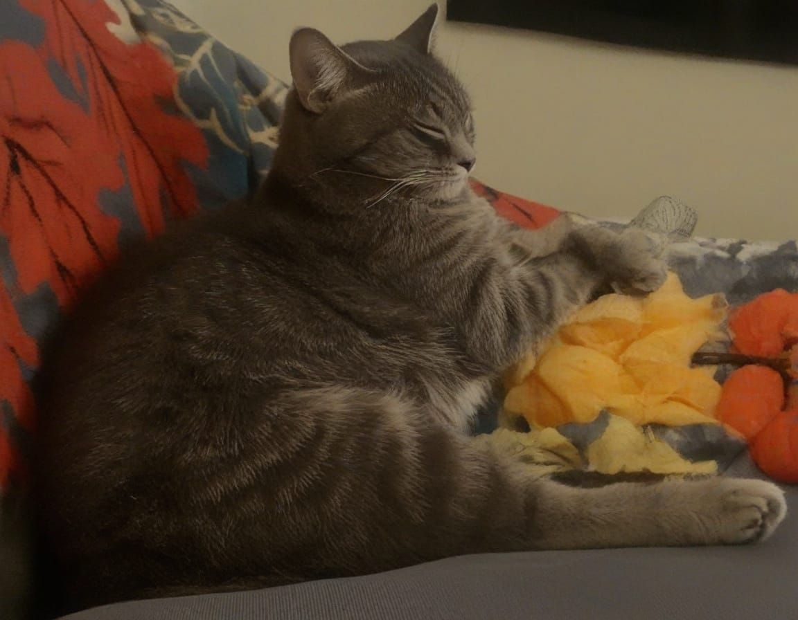 Doy Waiting For Halloween AI Art