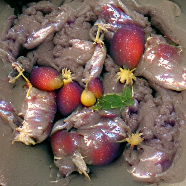 Surreal Rabbit Nightmare with Ripe Plums