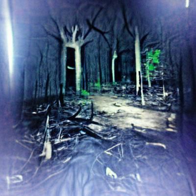 Eerie Forest Landscape in Dark Digital Art