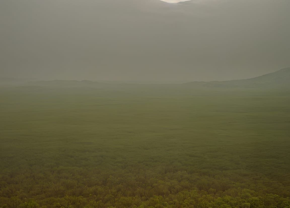 Ambient Minimalist Natural Landscape in Layers