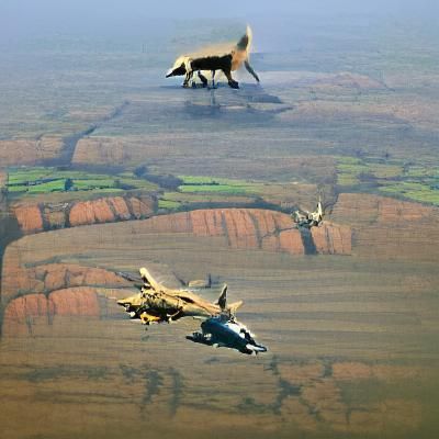 Majestic Wild Animals in Natural Habitats
