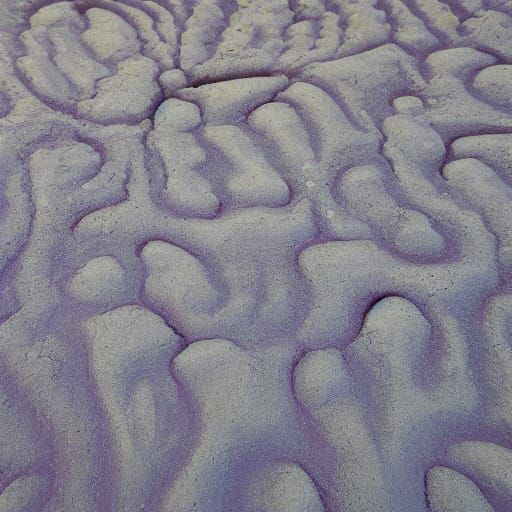 Eerie Dystopian Surrealism: Feet on Tropical Hammock at Suns...