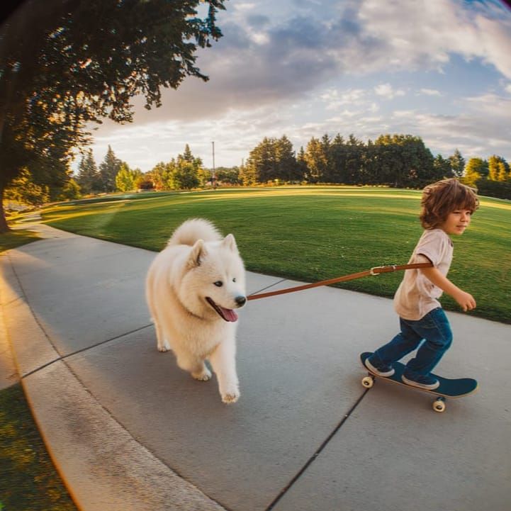 Boy and Samoyed in California Sun: Fisheye Lens