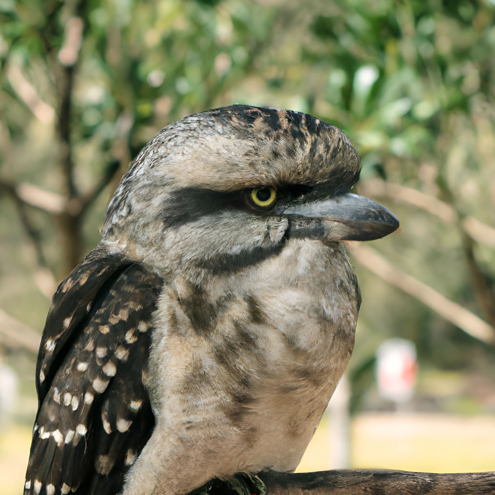 AI Interpretation of Mormookiee