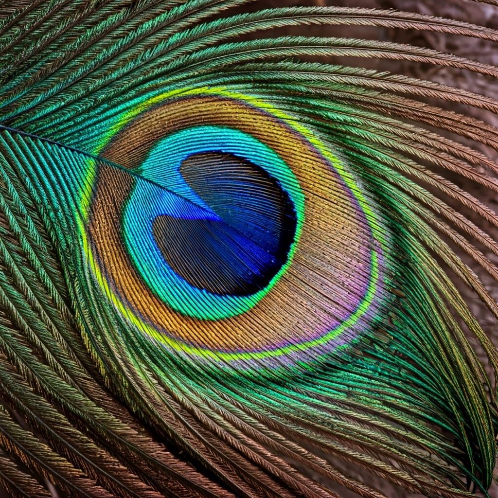 Vibrant Peacock Feather Macro in Digital Art Style