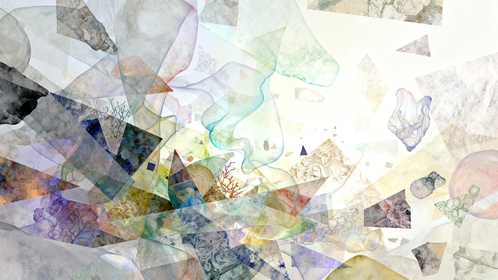 Abstract Exploration of Identity and Perspective