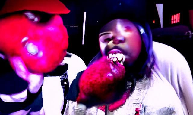 Cherry Versus Sloth: A Creative Composition