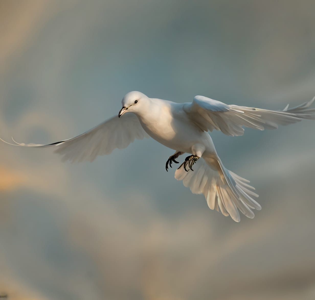 Just Peace