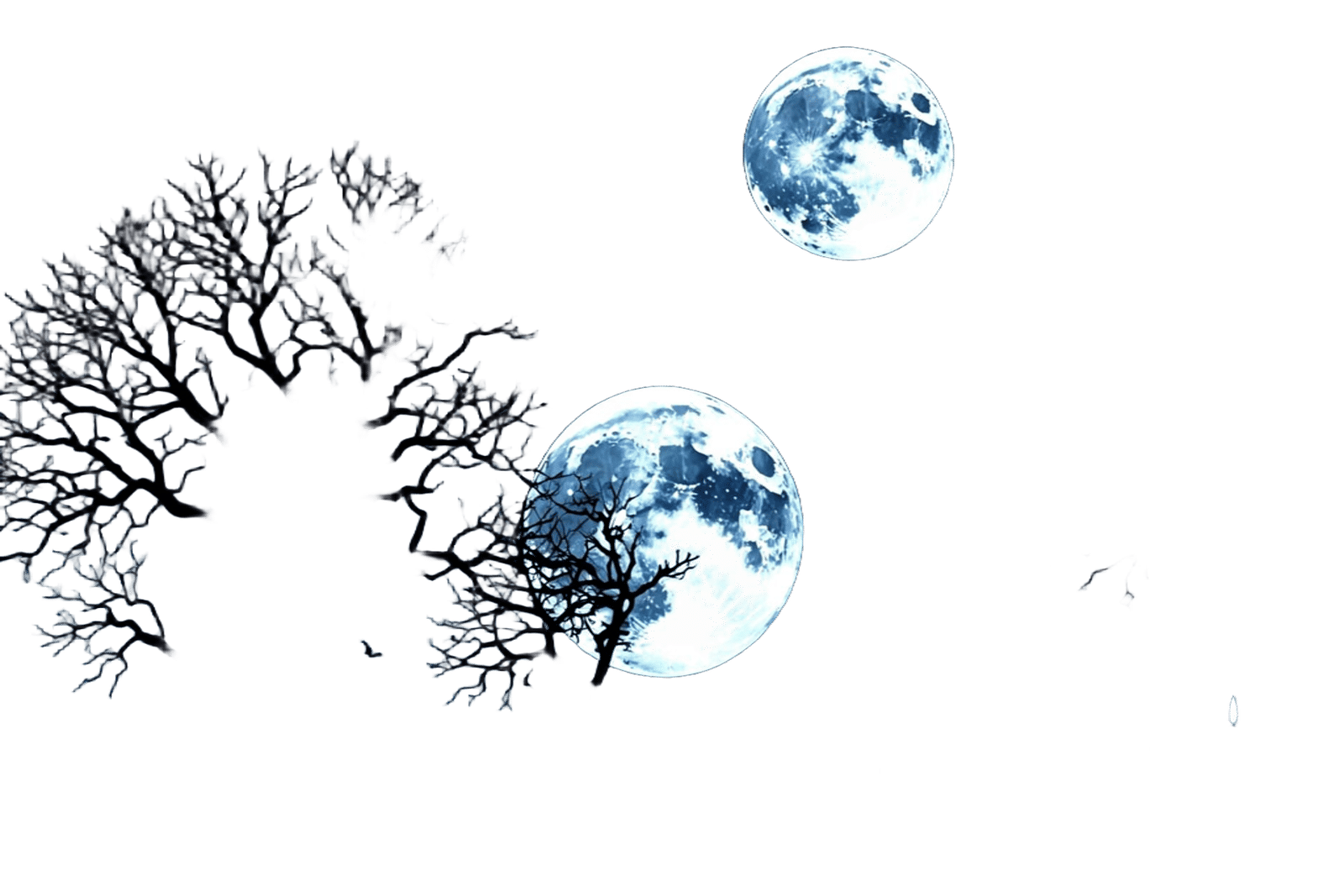 Eerie Lunar Landscape with Yin-Yang Earth