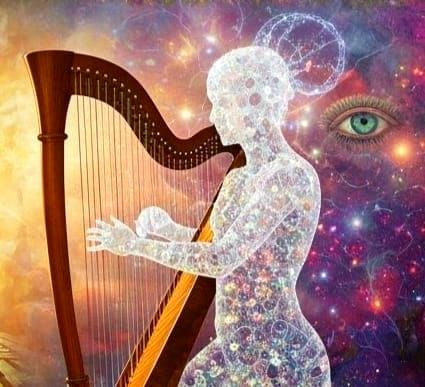 Women Singing Like Seals, Flying Like Swans in Surreal Fores...