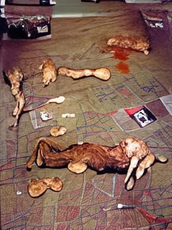 Disturbing Crime Scene Investigation in Black and White