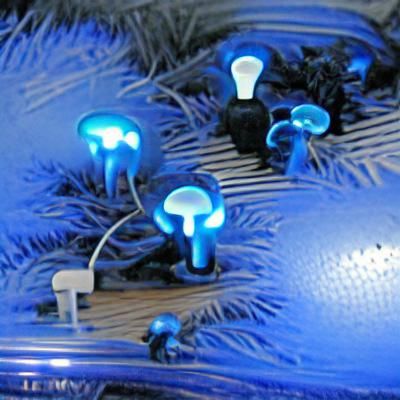 Surreal Tech Fungi Illuminated by Electric Lights